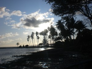 From a trip to Hawai'i :)